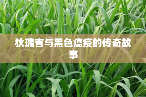 狄瑞吉与黑色瘟疫的传奇故事