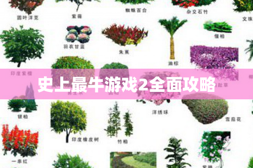 史上最牛游戏2全面攻略