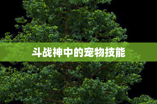 斗战神中的宠物技能