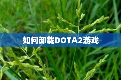 如何卸载DOTA2游戏