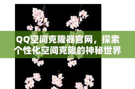 QQ空间克隆器官网，探索个性化空间克隆的神秘世界