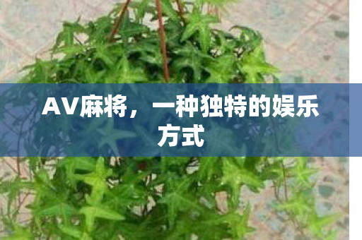 AV麻将，一种独特的娱乐方式
