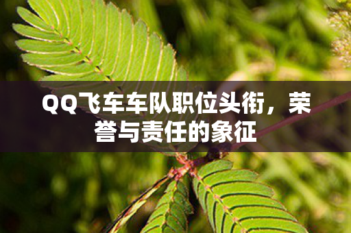 QQ飞车车队职位头衔，荣誉与责任的象征
