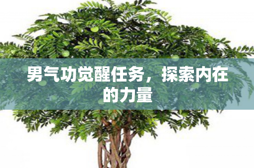 男气功觉醒任务，探索内在的力量