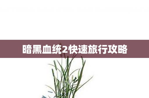 暗黑血统2快速旅行攻略