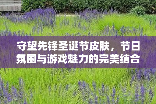 守望先锋圣诞节皮肤，节日氛围与游戏魅力的完美结合