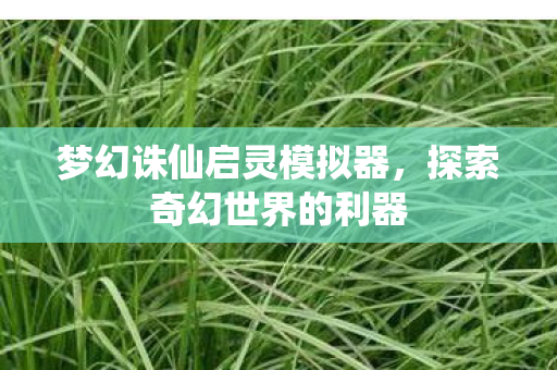 梦幻诛仙启灵模拟器，探索奇幻世界的利器