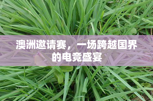 澳洲邀请赛，一场跨越国界的电竞盛宴