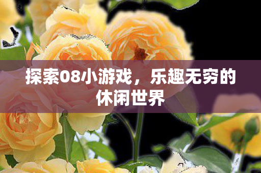 探索08小游戏，乐趣无穷的休闲世界