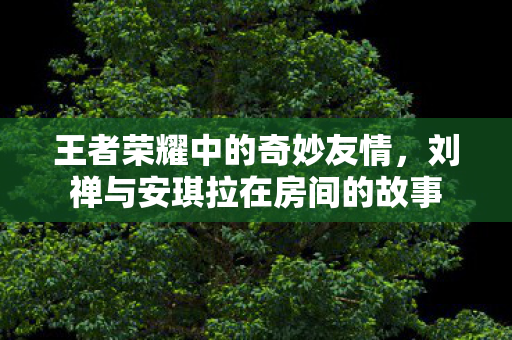 王者荣耀中的奇妙友情，刘禅与安琪拉在房间的故事
