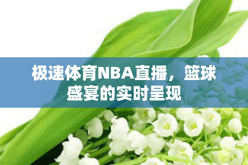 极速体育NBA直播，篮球盛宴的实时呈现
