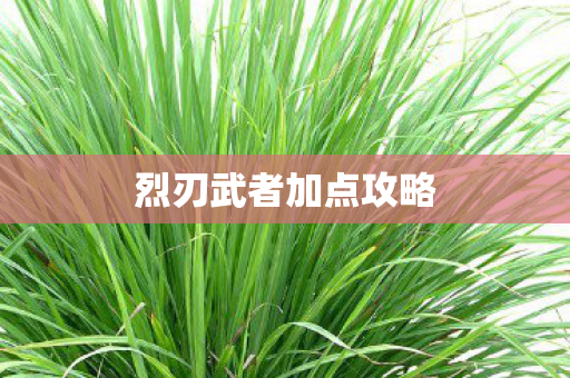 烈刃武者加点攻略