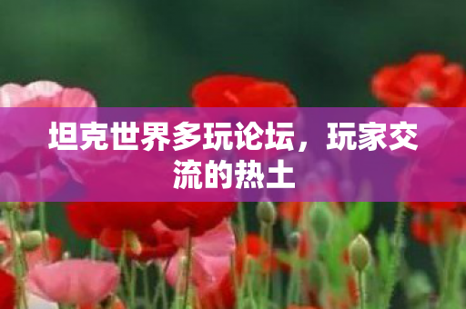 坦克世界多玩论坛，玩家交流的热土