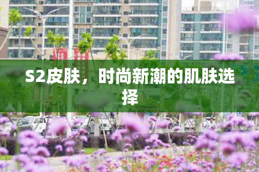 S2皮肤，时尚新潮的肌肤选择