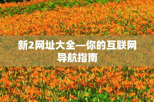 新2网址大全—你的互联网导航指南
