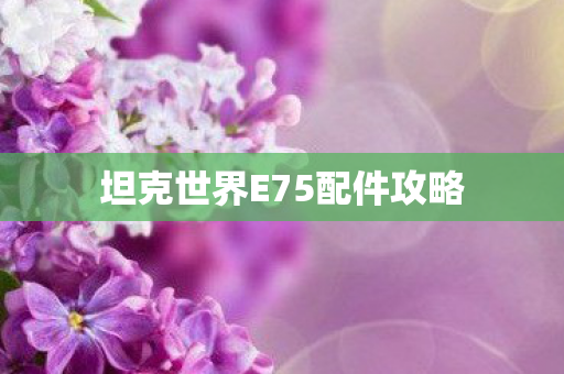 坦克世界E75配件攻略
