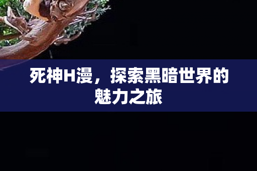 死神H漫，探索黑暗世界的魅力之旅