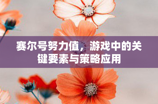 赛尔号努力值，游戏中的关键要素与策略应用