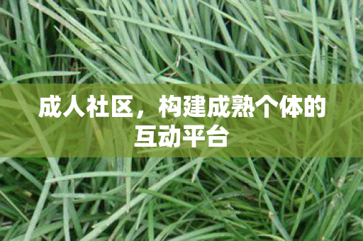 成人社区，构建成熟个体的互动平台