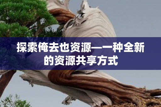 探索俺去也资源—一种全新的资源共享方式