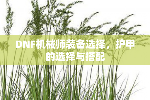 DNF机械师装备选择，护甲的选择与搭配