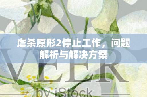 虐杀原形2停止工作，问题解析与解决方案