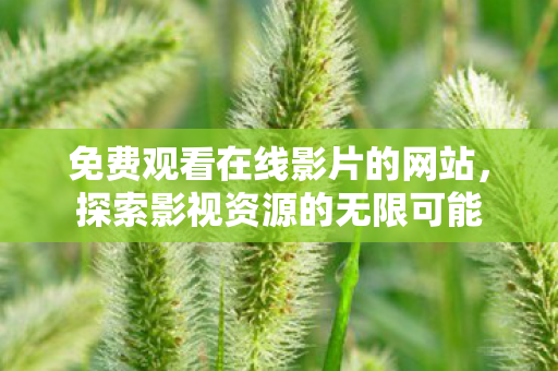 免费观看在线影片的网站，探索影视资源的无限可能