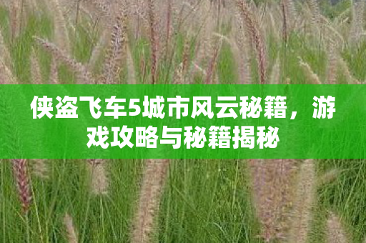 侠盗飞车5城市风云秘籍,游戏攻略与秘籍揭秘 侠盗飞车5城市风云秘籍,游戏攻略与秘籍揭秘