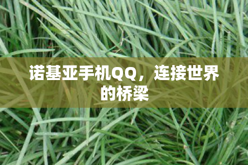 诺基亚手机QQ，连接世界的桥梁