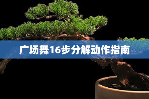 广场舞16步分解动作指南