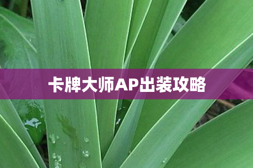 卡牌大师AP出装攻略