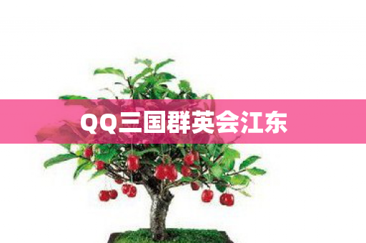 QQ三国群英会江东