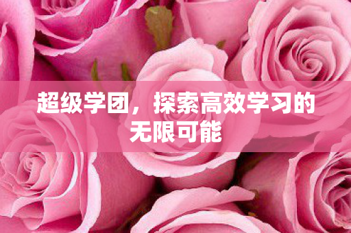 超级学团，探索高效学习的无限可能
