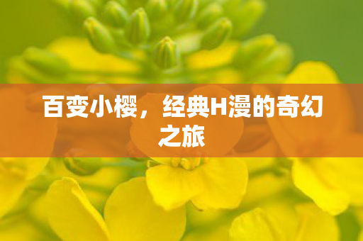 百变小樱，经典H漫的奇幻之旅