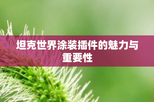 坦克世界涂装插件的魅力与重要性 坦克世界涂装插件的魅力与重要性