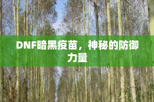 DNF暗黑疫苗，神秘的防御力量