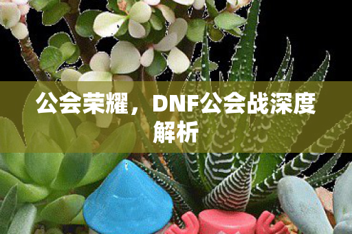 公会荣耀，DNF公会战深度解析