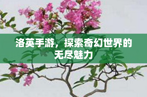 洛英手游，探索奇幻世界的无尽魅力