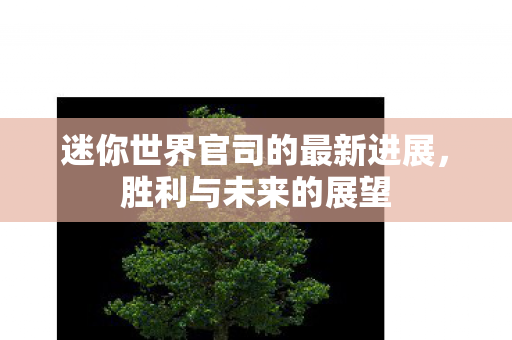 迷你世界官司的最新进展，胜利与未来的展望
