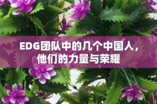 EDG团队中的几个中国人，他们的力量与荣耀