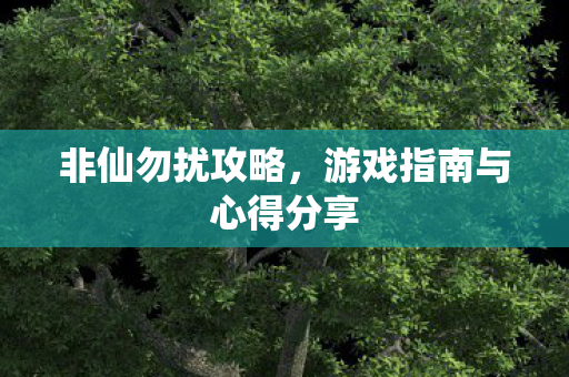 非仙勿扰攻略，游戏指南与心得分享
