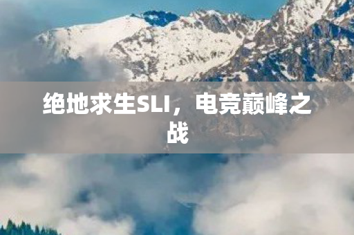 绝地求生SLI，电竞巅峰之战