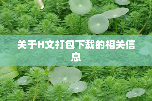 关于H文打包下载的相关信息