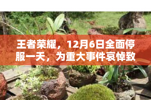 王者荣耀，12月6日全面停服一天，为重大事件哀悼致敬