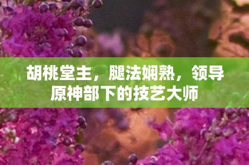 胡桃堂主，腿法娴熟，领导原神部下的技艺大师