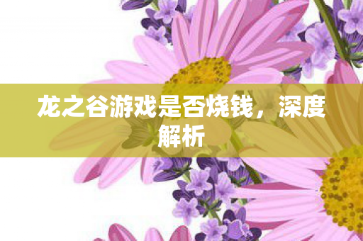 龙之谷游戏是否烧钱，深度解析