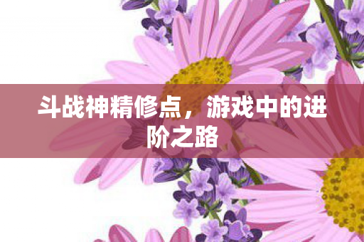 斗战神精修点，游戏中的进阶之路