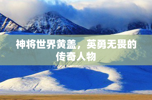 神将世界黄盖，英勇无畏的传奇人物