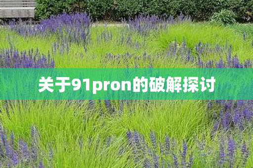 关于91pron的破解探讨