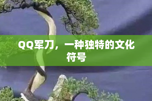 QQ军刀，一种独特的文化符号